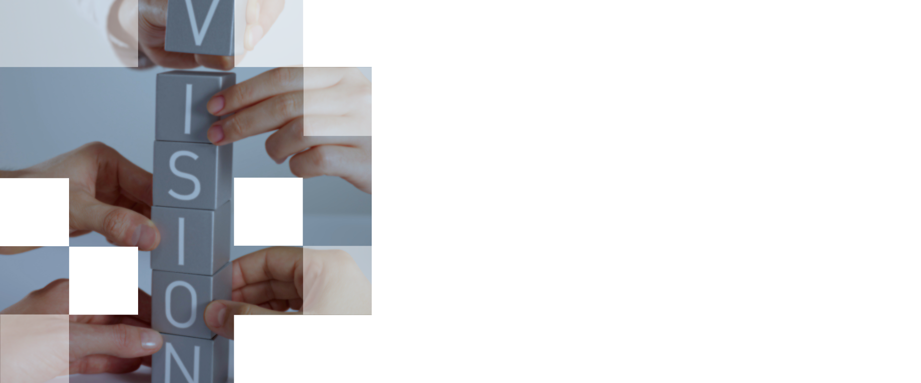 MEGLA team members holding blocks forming the word "Vision"